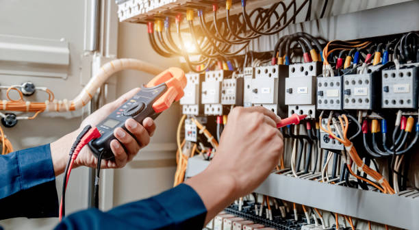 Best Electric Panel Repair  in Baldwin City, KS